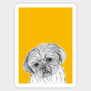 Shih Tzu Dog Portrait ( yellow background ) Sticker